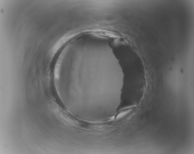 X0000051240295200507152131