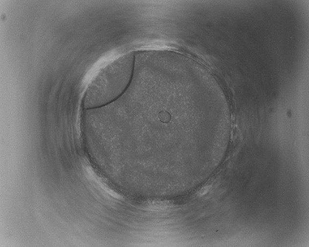 X0000051240296200507152131