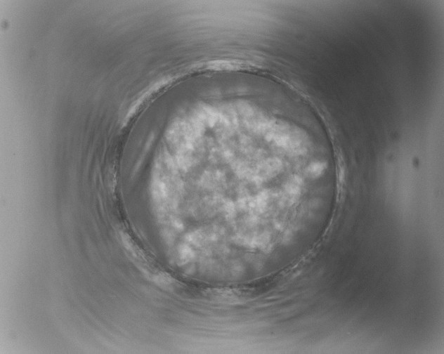 X0000051240297200507152130