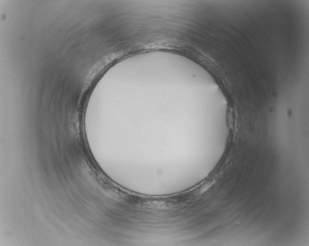 X0000051240298200507152130