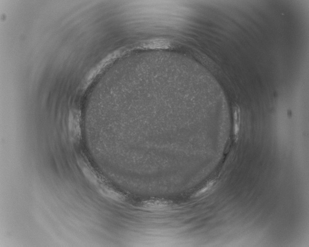 X0000051240300200507152130