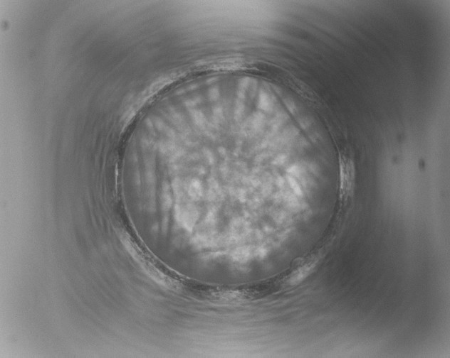 X0000051240301200507152130