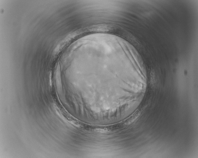 X0000051240302200507152130