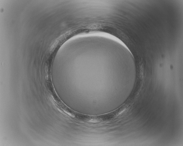 X0000051240303200507152130