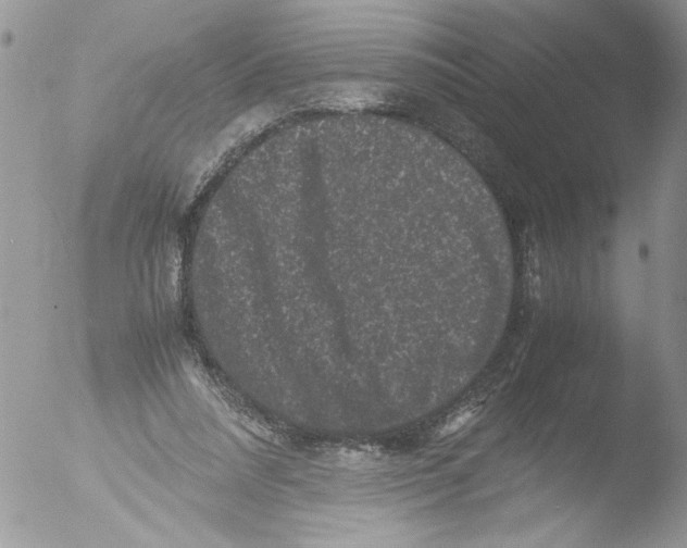 X0000051240304200507152130