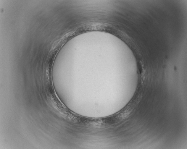 X0000051240306200507152130