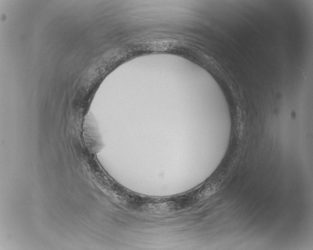 X0000051240307200507152130