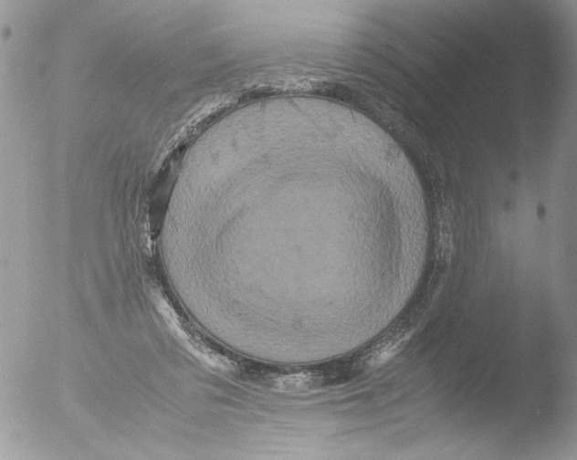 X0000051240309200507152130