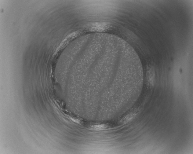 X0000051240312200507152130