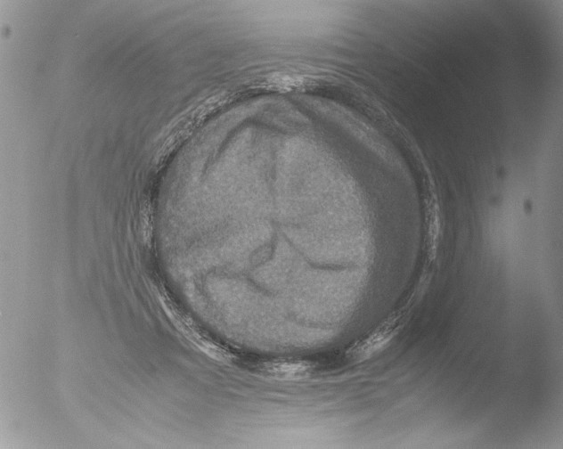 X0000051240313200507152130