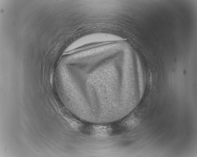 X0000051240315200507152130