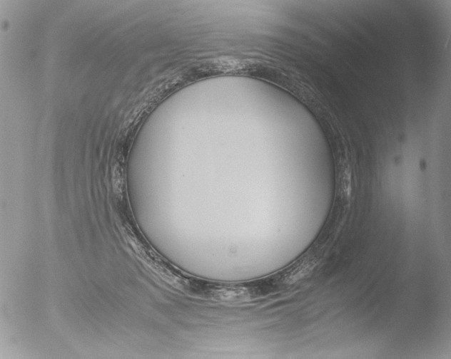 X0000051240317200507152130