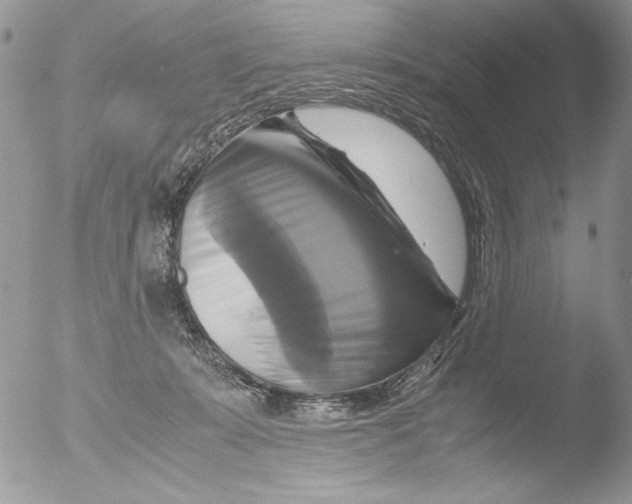 X0000051240319200507152130