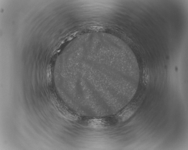 X0000051240320200507152130