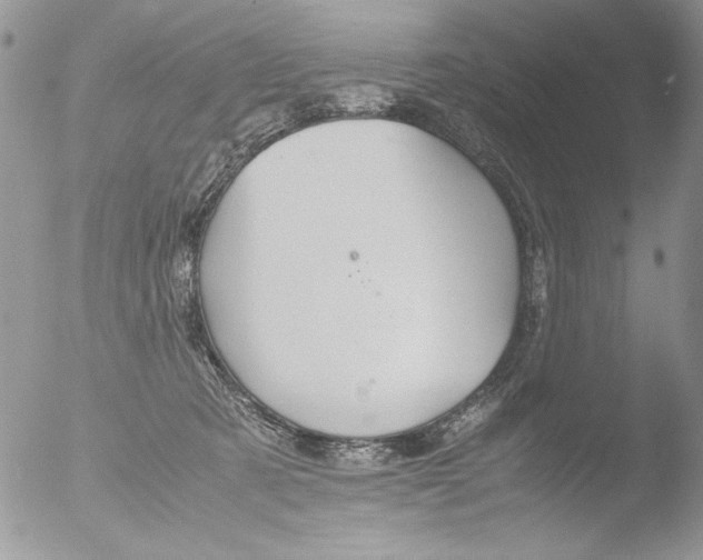 X0000051240321200507152130