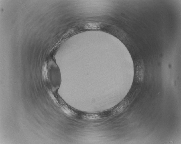 X0000051240322200507152130