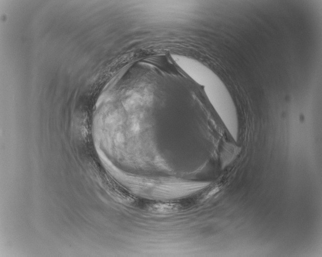 X0000051240323200507152130