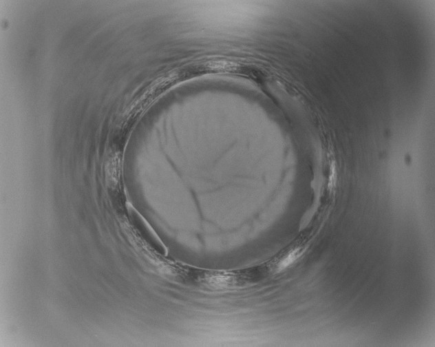 X0000051240325200507152130