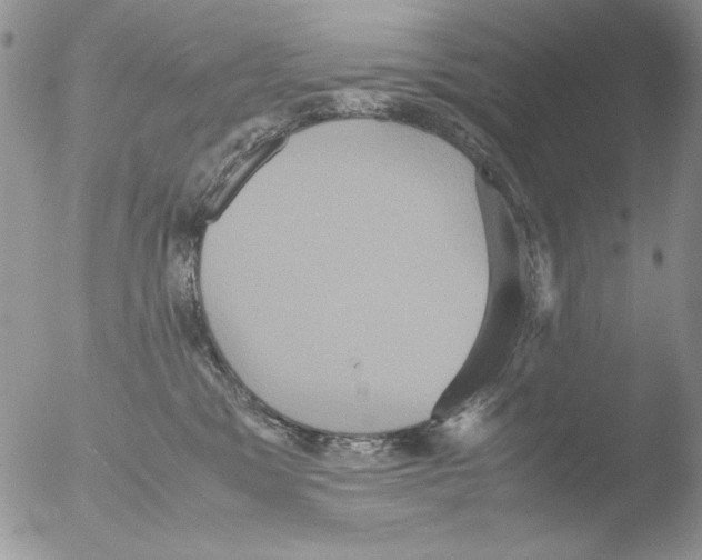 X0000051240329200507152130