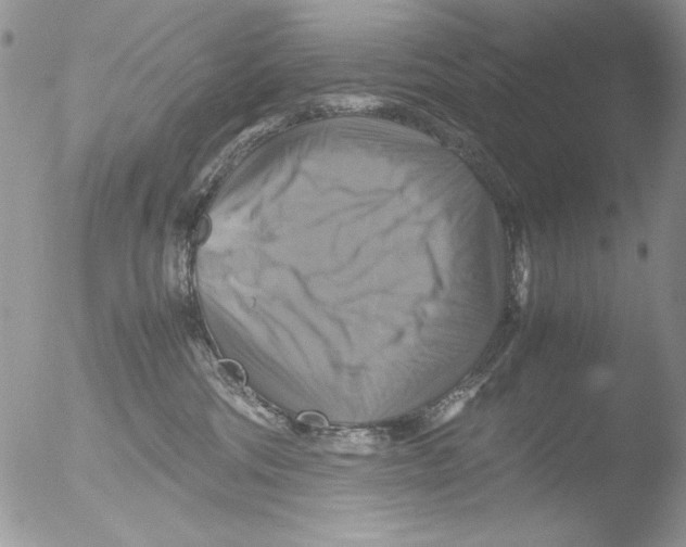 X0000051240330200507152130