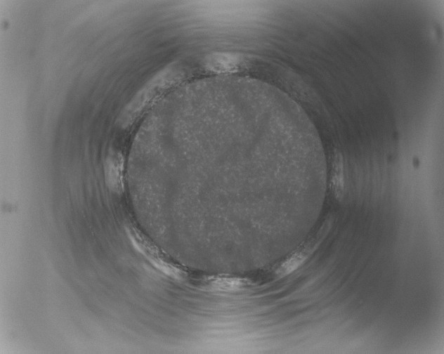 X0000051240332200507152130