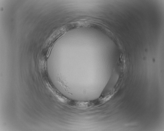 X0000051240333200507152130