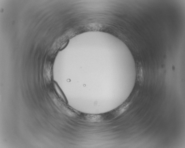 X0000051240334200507152130