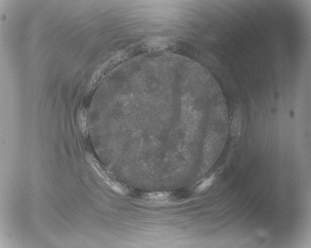 X0000051240335200507152130