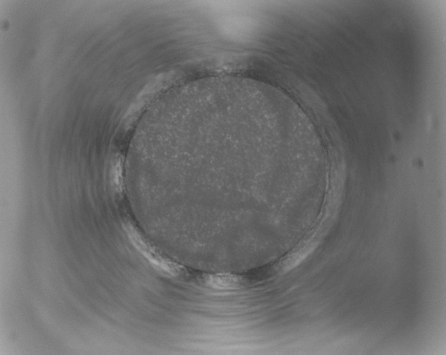 X0000051240336200507152130