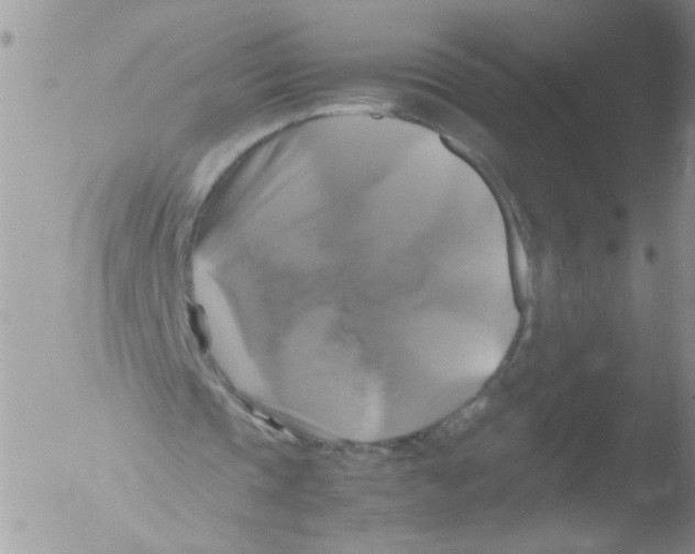 X0000051240337200507152129