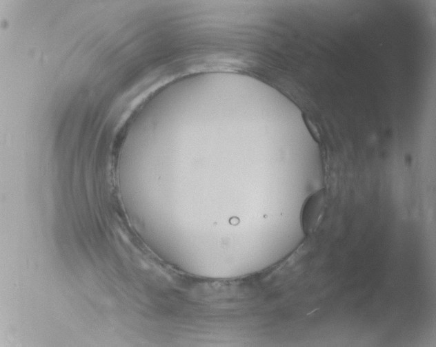 X0000051240338200507152129