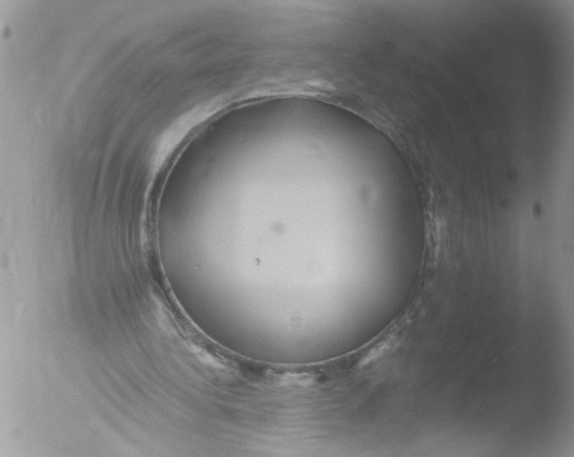 X0000051240340200507152129