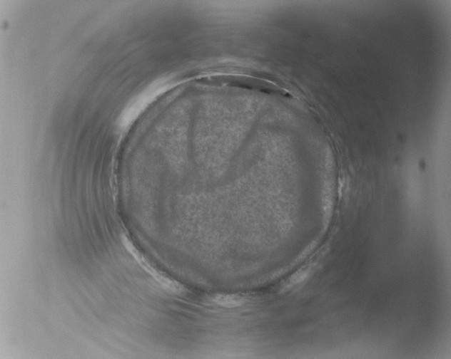 X0000051240341200507152129