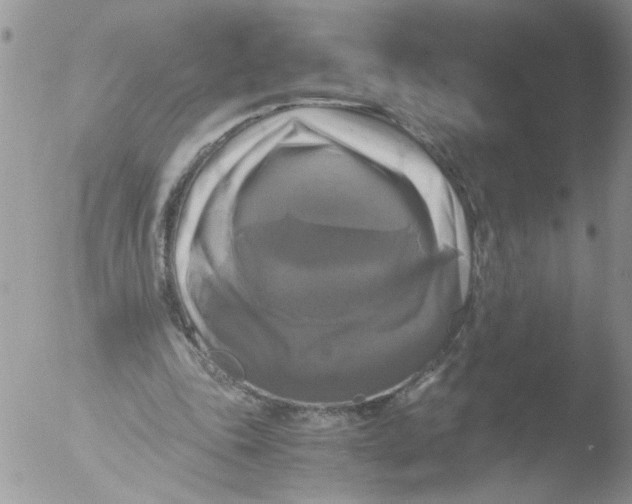 X0000051240343200507152129