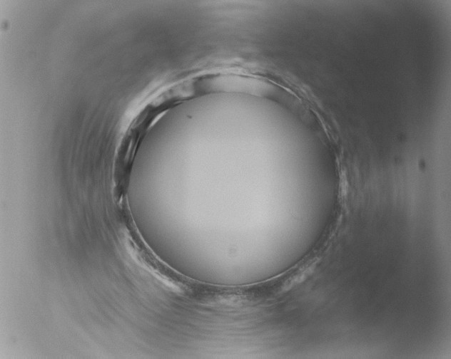 X0000051240344200507152129