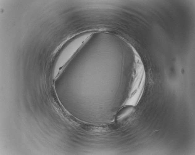 X0000051240347200507152129