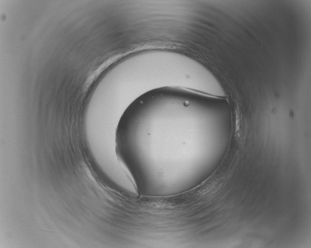 X0000051240348200507152129