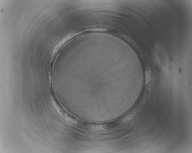 X0000051240349200507152129