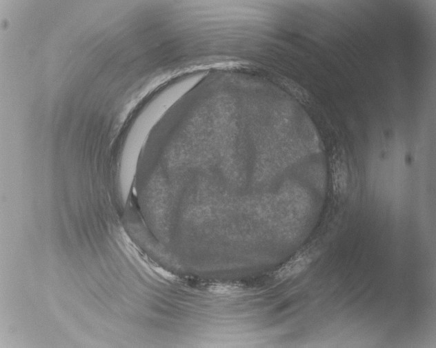 X0000051240350200507152129