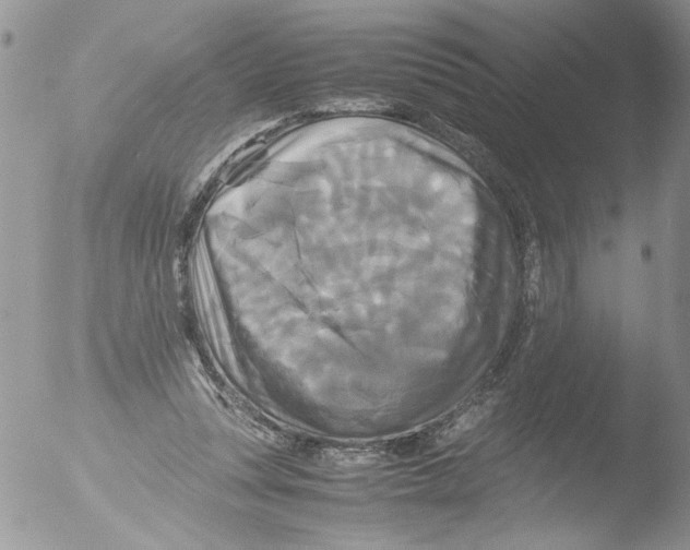 X0000051240351200507152129