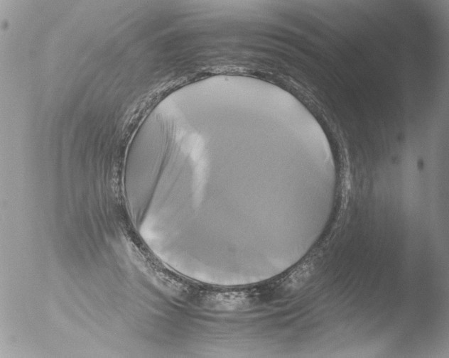 X0000051240353200507152129