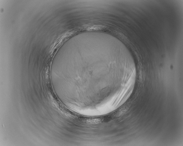 X0000051240357200507152129