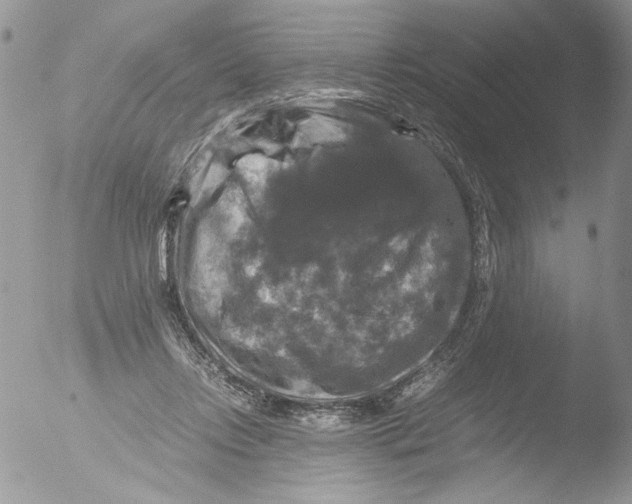 X0000051240358200507152129