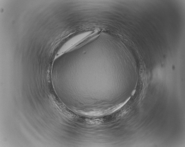 X0000051240359200507152129