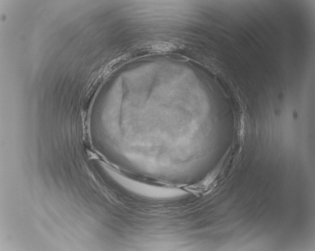 X0000051240360200507152129