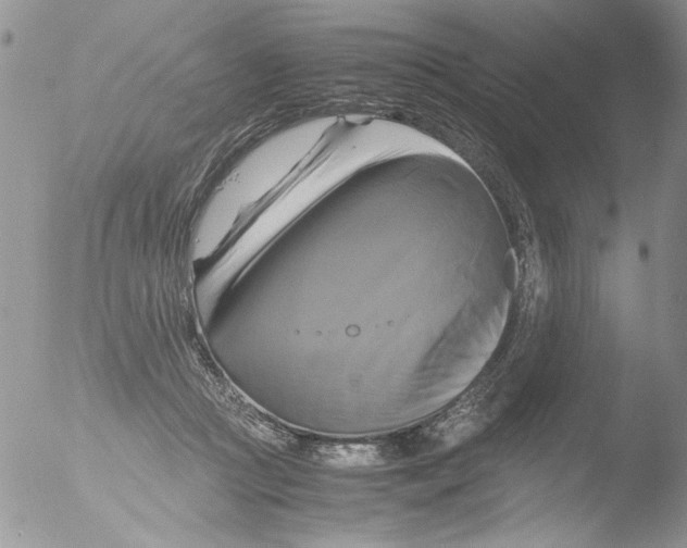 X0000051240361200507152129