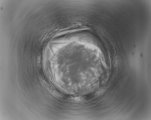 X0000051240365200507152129