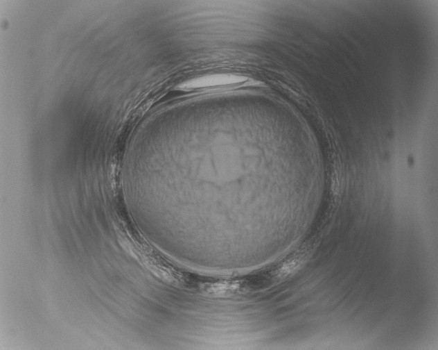 X0000051240366200507152130