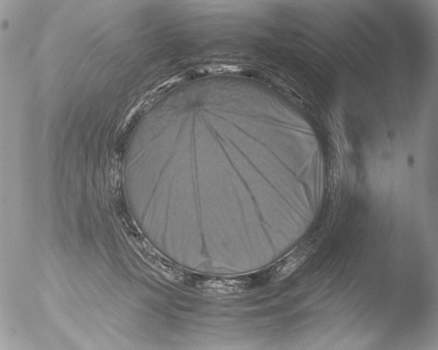 X0000051240367200507152130