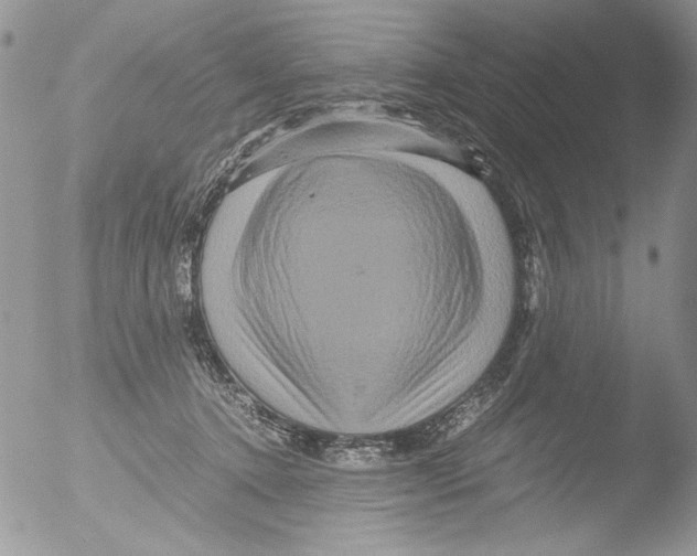 X0000051240368200507152130